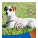 햇살가득한약국 이미지