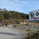 만강목장 Daum카페