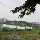 박재현컨설팅행정사사무소