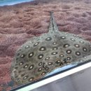 하대동316 이미지