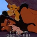 스카이유