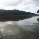 소로낚시터 이미지