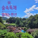 나무와돌펜션 이미지