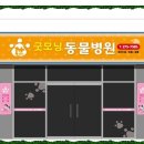 인애머리방 이미지