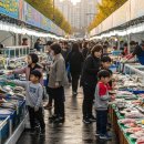 도시속바다 | 노량진 도심 속 바다축제 후기, 서울 한복판에서 즐기는 리얼 바다 체험