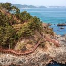 “사진이 실물을 다 못 담네”… 다녀온 사람들이 입소문 낸 무료 명소 이미지