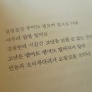 장어여행 이미지