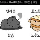 토스트아웃 현상 이미지