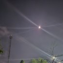 1101 벌교 장암 바닷가에서 놀기 이미지