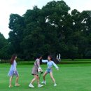 타이거마켓