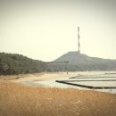 솔나무호스텔 이미지