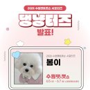 ㈜앤시앤 | 수원 펫&amp;캣쇼 2026 댕냥터즈 봄이