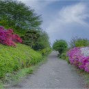 남도땅