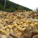 최병철 농장 이미지