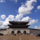 문조털래유 뜻과 민주당 내 멸칭 논란 이미지