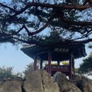 부소산성 낙화암 갈림길 | [충남 부여] 2박 3일 랜덤 국내 여행을 가다 ③ | 부소산성- 장원막국수- 부여왕릉원- 부산행