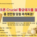 황금돼지복권 이미지