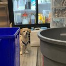 벤츠당구장 이미지