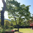 전원말5길 3 이미지