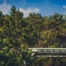 시원비뇨기과의원 이미지