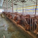 승의농장 이미지