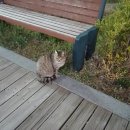 큐노래연습장 이미지