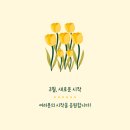 화서 다이소 이미지