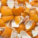 오렌지타이어 이미지