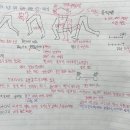 릴프로덕션