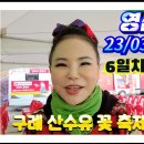 🧚‍♀️천사각설이 1호 영심아, 구례산수유꽃축제 23/03/15(수)1부공연 이미지