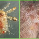 아토웰의원 이미지