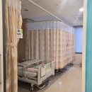강원대학교병원직원식당 | [일상] 충수염 (맹장염) 증상, 수술 후 주의사항, 및 이대서울병원 응급실, 수술, 입원, 비용 후기
