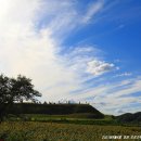 연천호로고루 이미지