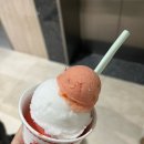 고능농장 | 무지 개를 닮은 너.... 🐕🎶