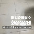 아르테자이아파트 | 안양줄눈 시공 아르테자이 아파트 매입 전 화장실 상태 꼭 확인하세요.