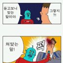 비도 Daum카페