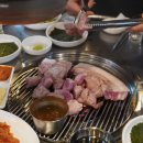 제주흙돼지 이미지