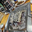 용정장어오리파크
