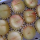 정호진농장 이미지