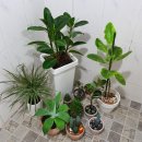 여주-0828 이미지