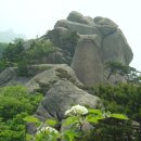 약수암샘터 이미지