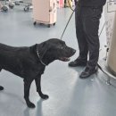 보리수한의원 | [방콕 : 태국] 조금만 걸어도 큰일 나는 엄마와 3박 5일 방콕 여행하기