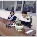 호매실도서관 이미지