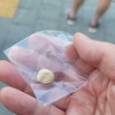 연세바른생각치과의원 이미지