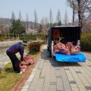 시흥고등학교 티스토리