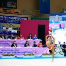 세명체육관 이미지