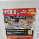 이 아이를 찾는 것을 도와주세요. 이미지