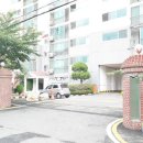 선정아파트 이미지