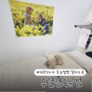 무결점 속눈썹 | 유지력 좋은 민락2지구 속눈썹펌 무결점속눈썹 방문후기