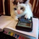 나도나도 이미지